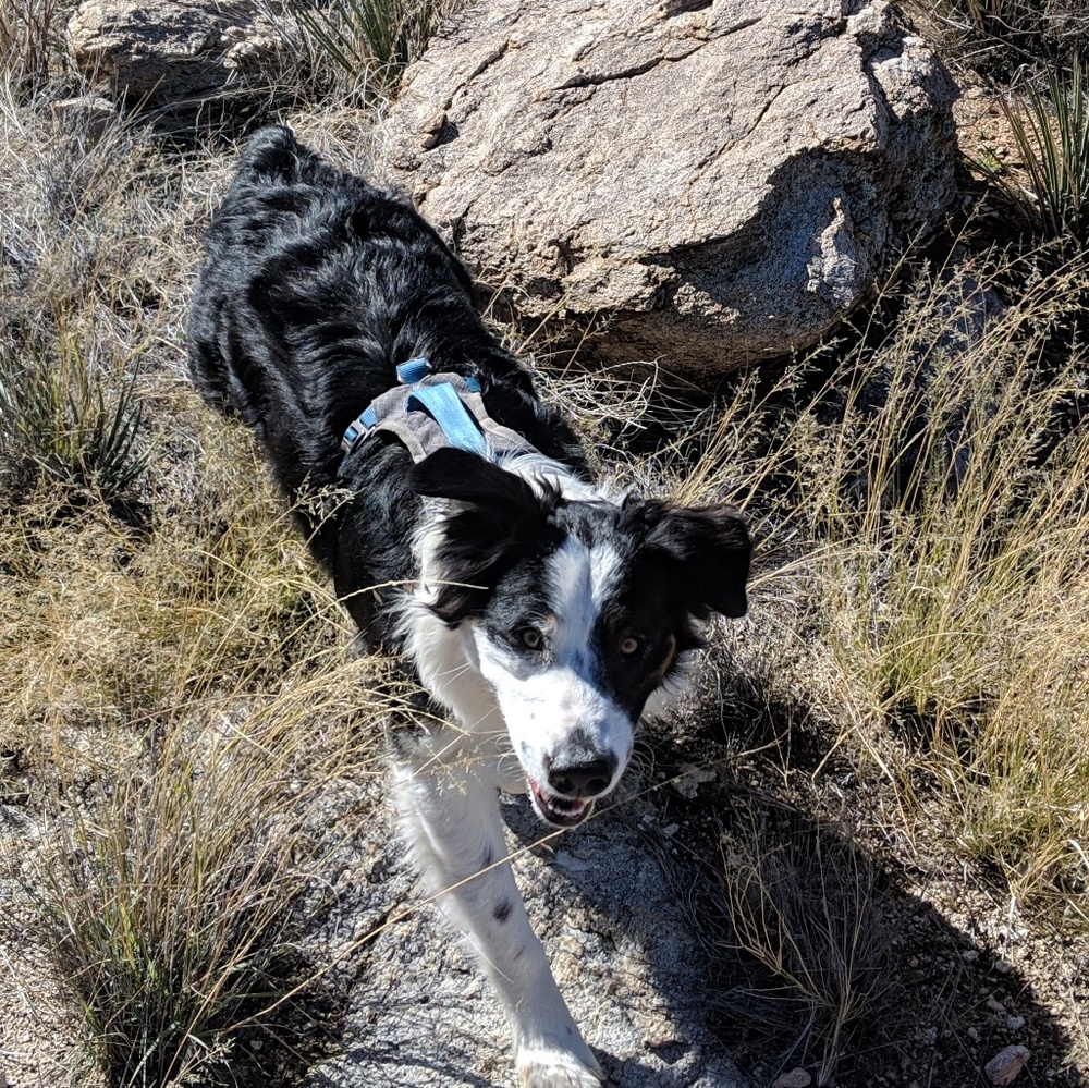 Meet your Posher, Kim